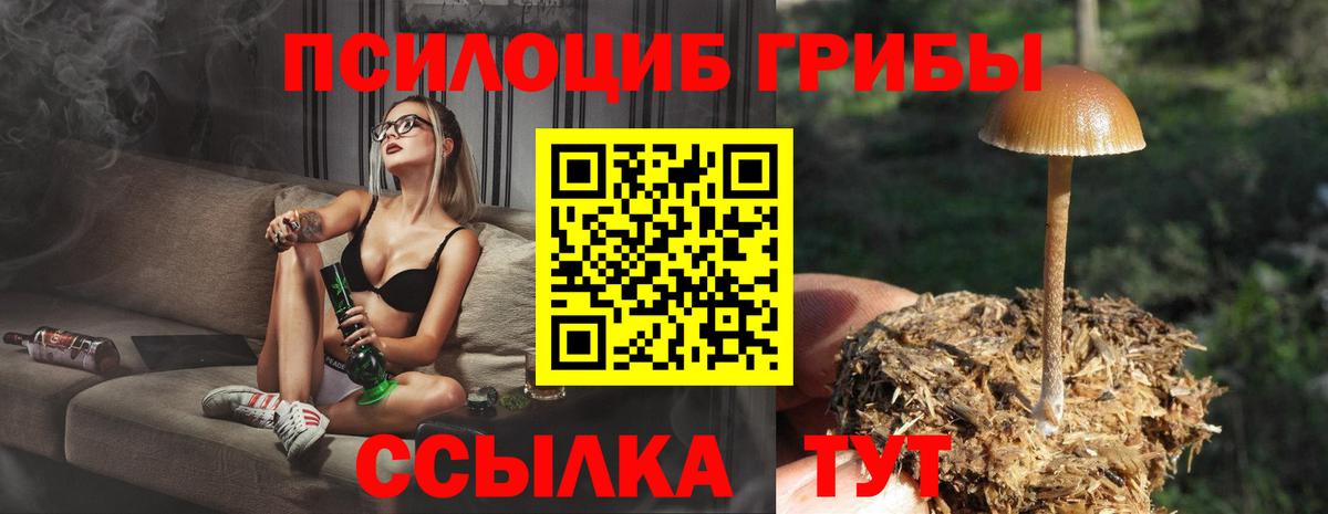 Псилоцибиновые грибы мицелий  Вход с VPN  Сатка  Псилоцибиновые грибы ЛСД 